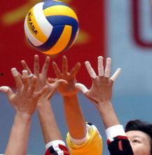 女排李珊爆料视频最新,揭秘辉煌背后的艰辛与拼搏